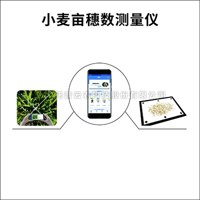 小麥畝穗數測量係統TPMS-1