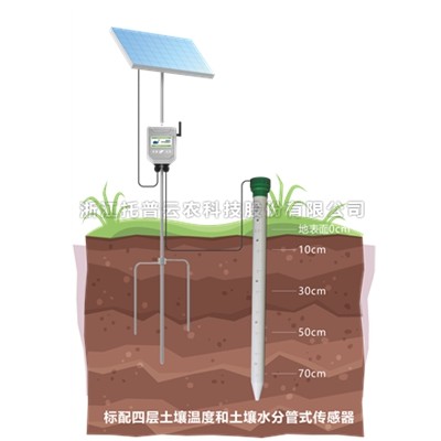 管式深夜在线看片墒情監測站TPGSQ-4