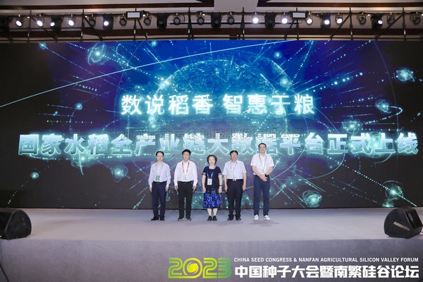 如何走穩中國“稻”路？科技賦能水稻全產業鏈發展