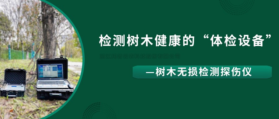 樹木無損檢測探傷儀精準檢測樹木健康狀況，給出專業治療方案