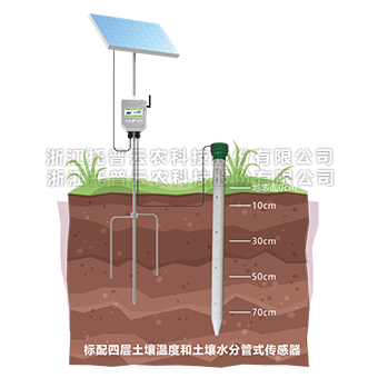 管式深夜在线看片墒情監測儀詳細介紹