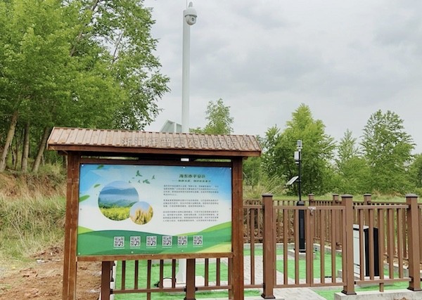 走進國家級油菜夏繁基地，感受科技賦能蓬勃動力