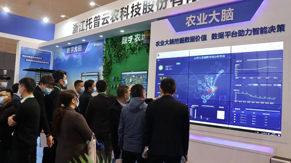 免费看片黄展位