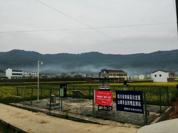 免费看片黄病蟲害監測點