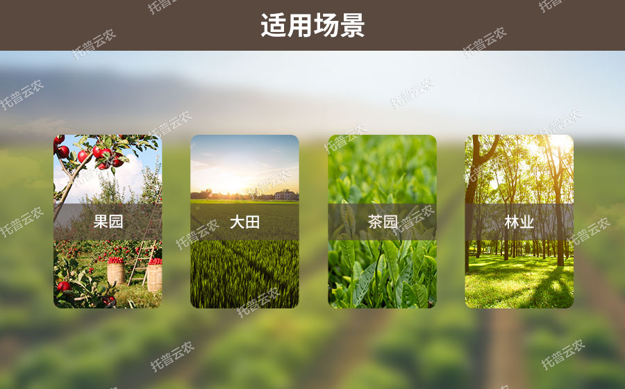 深夜在线看片墒情監測係統適用場景