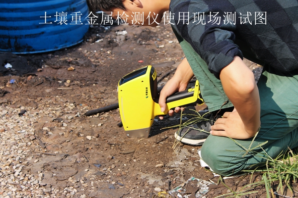 深夜在线看片重金屬檢測儀使用現場測試圖