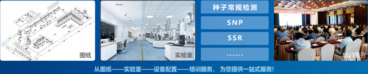 一站式看片视频网站檢驗