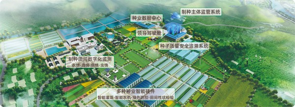 免费看片黄數字種業創新應用基地