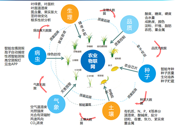 免费看片黄打造的全要素智能采集係統