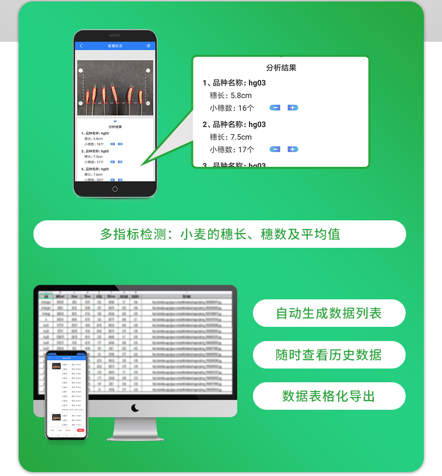 麥穗形態測量儀