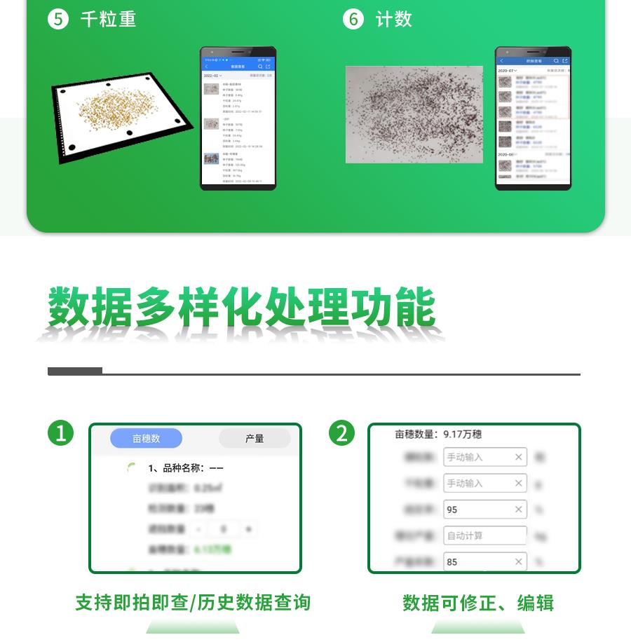 水稻表型檢測係統