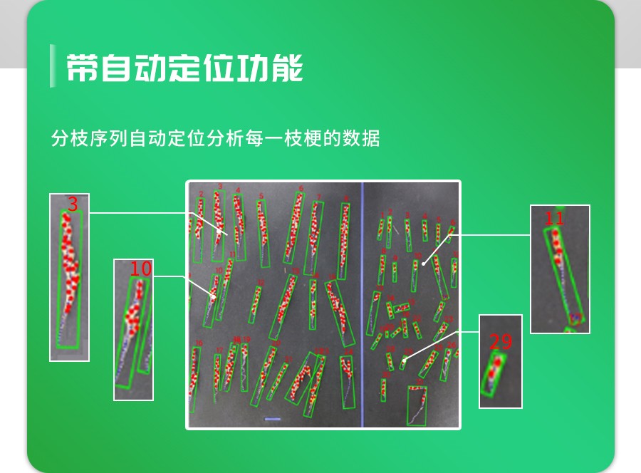 水稻整穗考種測量係統