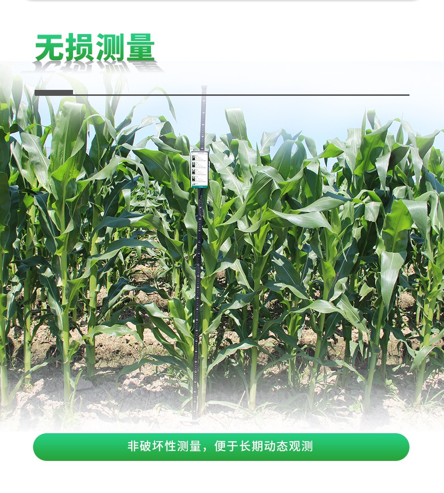 玉米株型分析係統