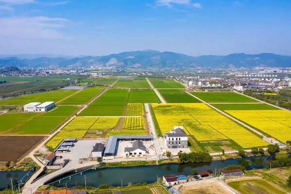 寧波海曙古林.jpg
