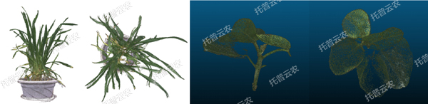 溫室型高通量植物表型采集分析平台-3維.jpg