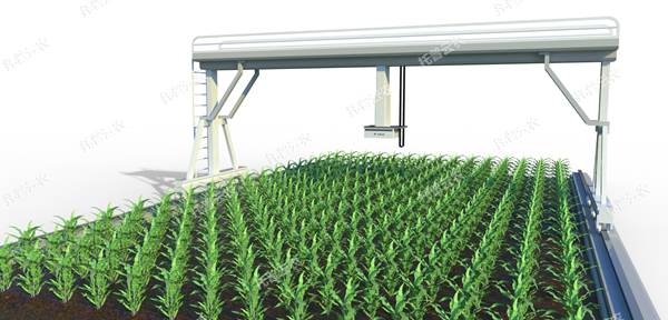 田間軌道式高通量植物表型分析平台_副本.png