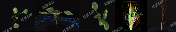 逆境模擬及植物生長監測平台-2維.jpg