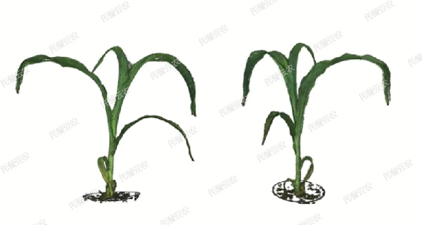 逆境模擬及植物生長監測平台-3維.jpg